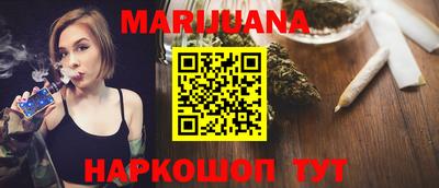тгк Кингисепп