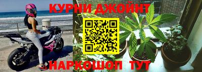 тгк Кингисепп