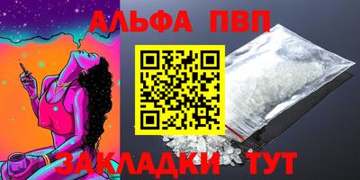 тгк Кингисепп