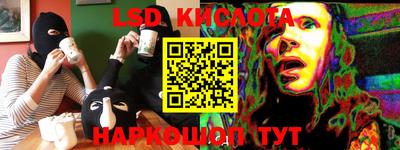 тгк Кингисепп