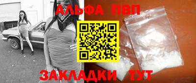 тгк Кингисепп