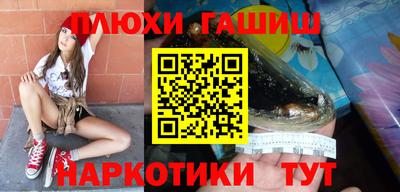 тгк Кингисепп