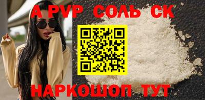 тгк Кингисепп
