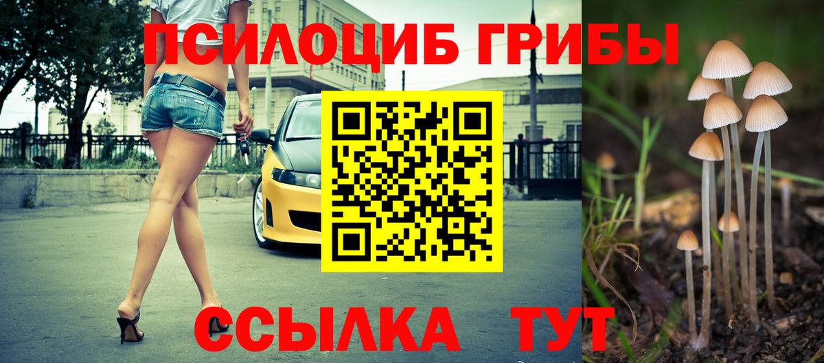 Галлюциногенные грибы MAGIC MUSHROOMS Ленинск-Кузнецкий