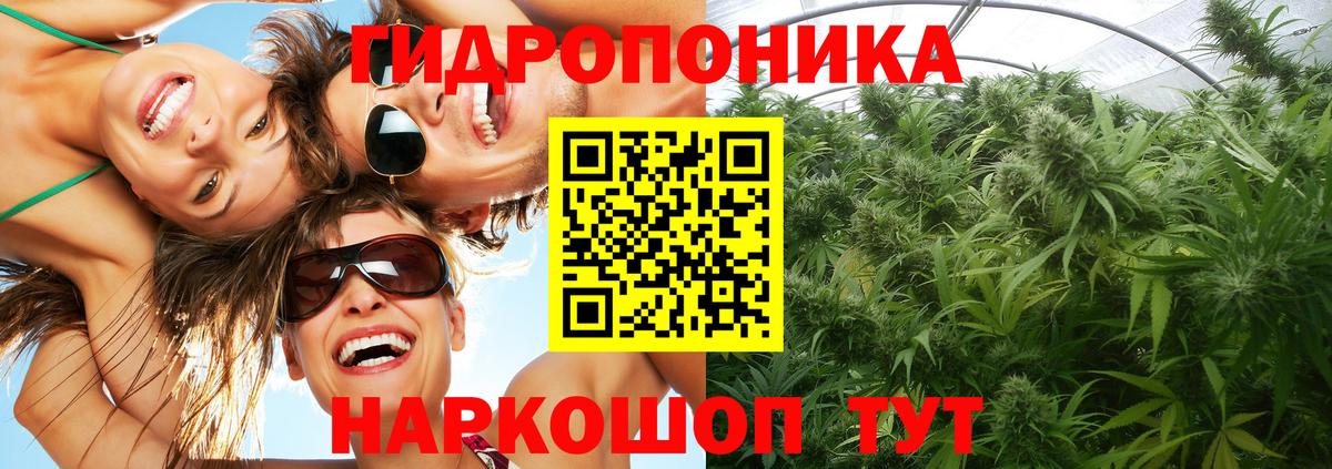 Ленинск-Кузнецкий  Бошки марихуана VHQ  Вход с VPN  Бошки марихуана THC 21%  Шишки марихуана Amnesia  Марихуана семена 